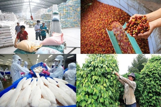 Cần tập trung khai thác thị trường tiêu thụ nông sản lớn nhất của Việt Nam